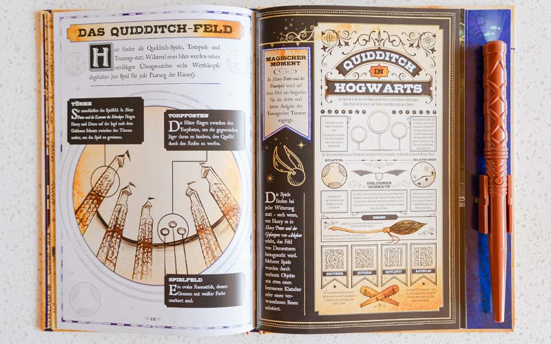 Quidditch erklärt: So sind die Regeln in Quidditch