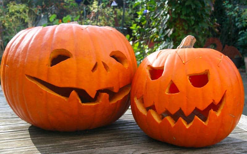 Halloween Deko selbst machen: Kürbis schnitzen mit Kindern