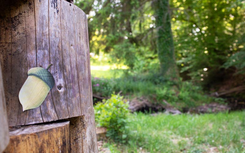 Wald-Schnitzeljagd für Kinder
